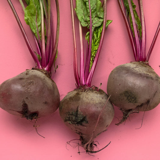 Recept: Smoothie van bieten en frambozen voor een goede spijsvertering - HAAR EENS - De toekomst van welzijn