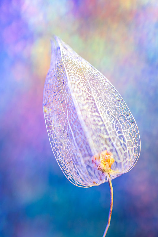 Cystitis: 7 Myths & Facts - HER ONE - The Future of Well-being