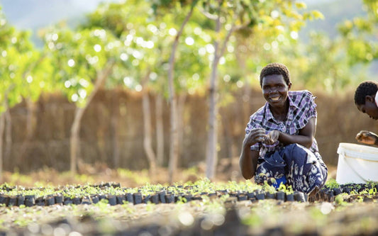 CO2? Climate change? Sustainability? We plant trees with GROW MY TREE! - HER ONE - The Future of Well-being
