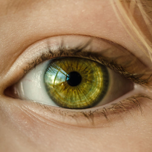 Close-up of a green eye with detailed iris and internal reflection.