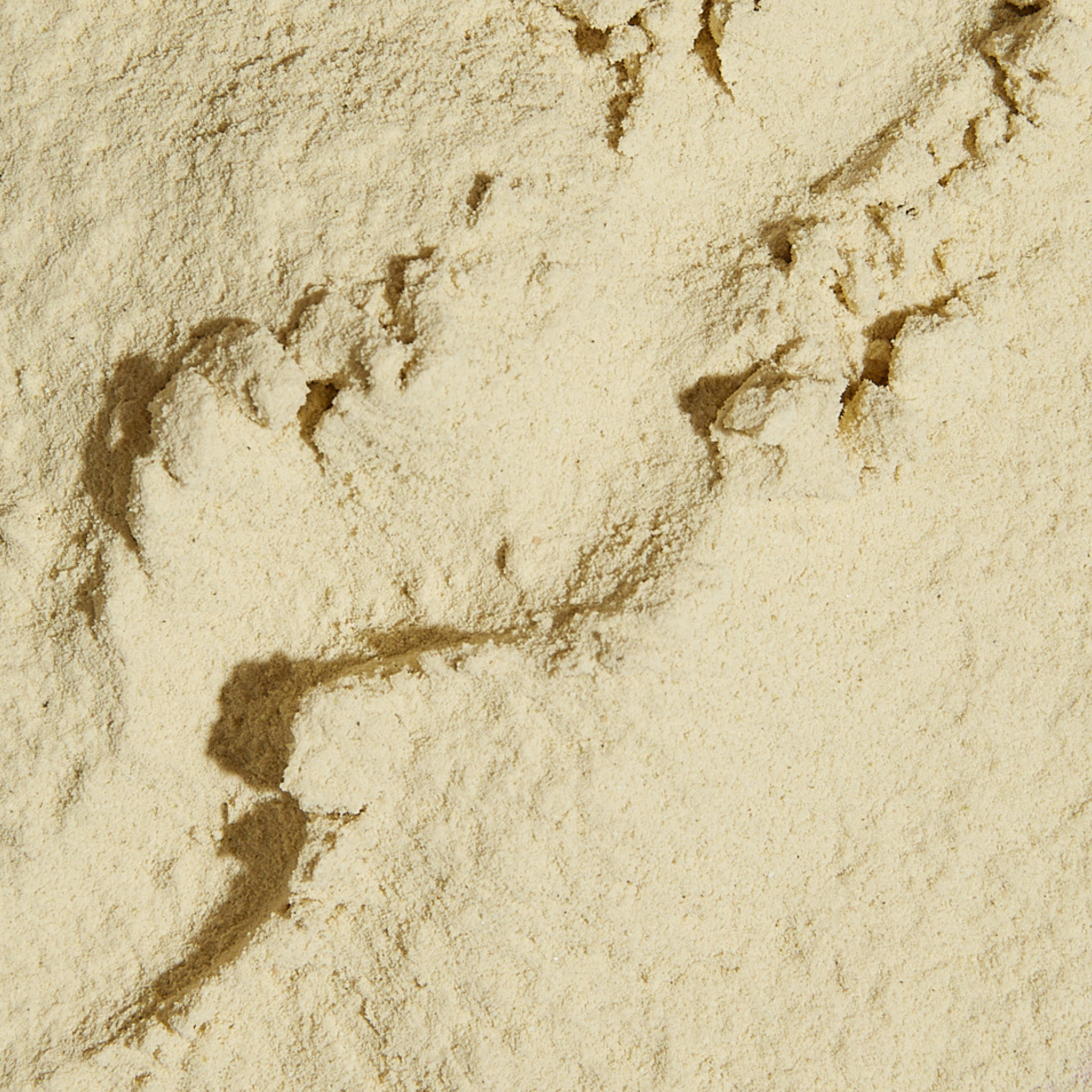 A close-up image of our HER ONE DAILY PROTEIN